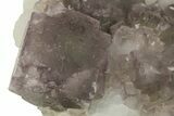 Purple Fluorite Crystals on Druzy Quartz - China #100731-2
